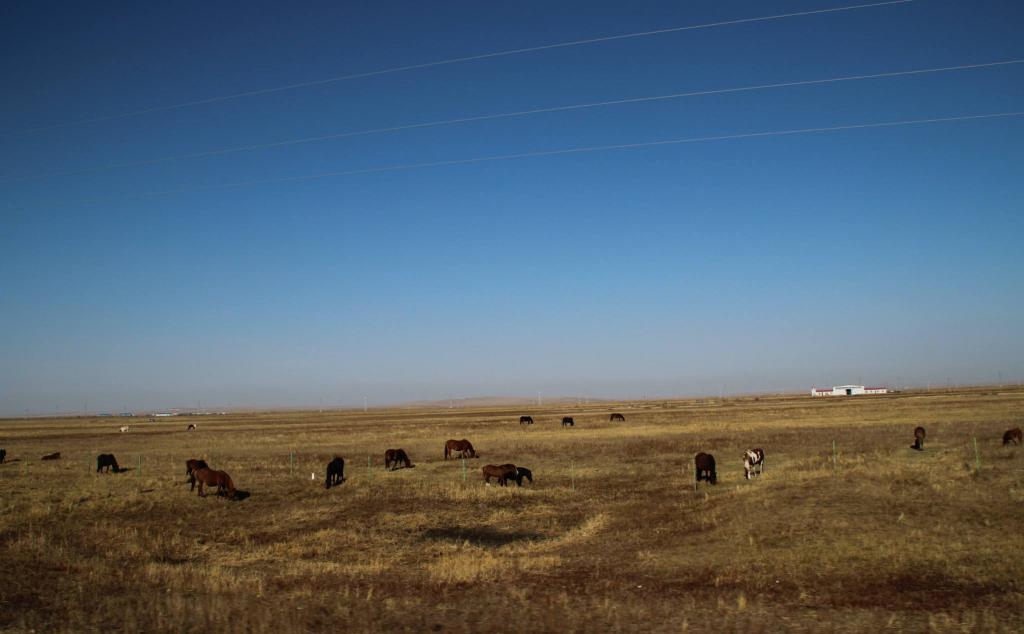 内蒙古自驾游路线推荐_攻略